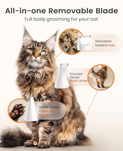 Cat Grooming Kit