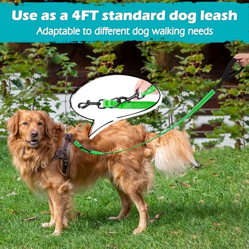 Two Point Control Dog Leash (Grass Green)