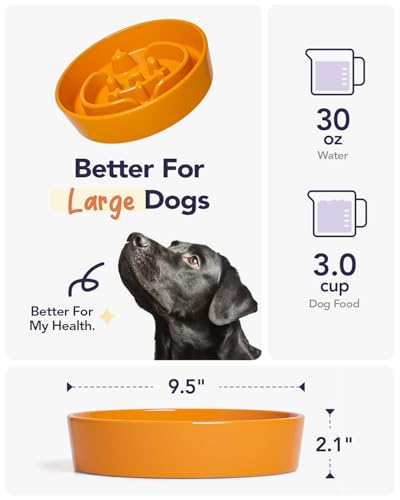 Ceramic Slow Feeder Dog Bowl for Medium & Large Dogs (Pumpkin Orange / L-3 Cups)
