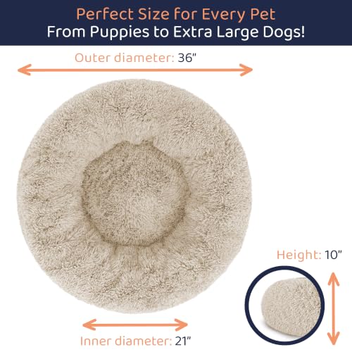 Calming Donut Dog Bed for Small Dogs (Ivory Beige / Large (36"L x 36"W x 10"Th))