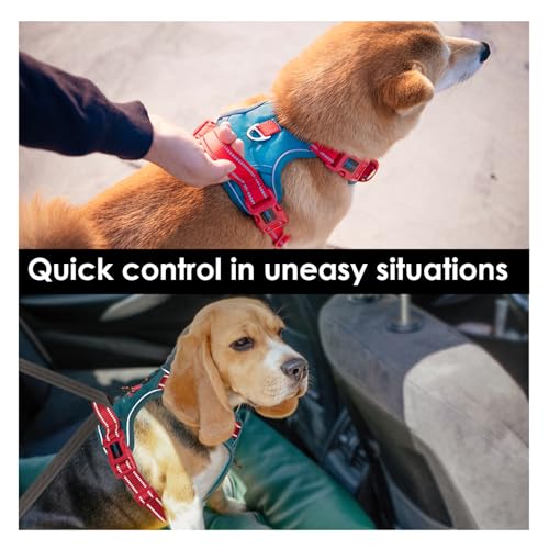No Pull Dog Harness (Teal Base & Red Straps / Extra Large)