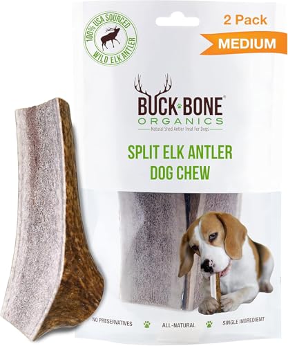 Dog Chews Antlers for Dogs (2 Pack / Medium)