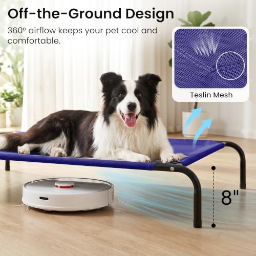Elevated Cooling Dog Bed for Large Dogs (Blue / 48" X 35.5" X 8")