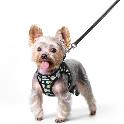 Dog Harness Small Sized and Leash Set (Midnight Daisy / Xs (chest: 13.3 - 15.5"))