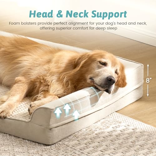 Orthopedic Dog Bed for Extra Large Dogs (Beige / XXL:48x35x8 inch)