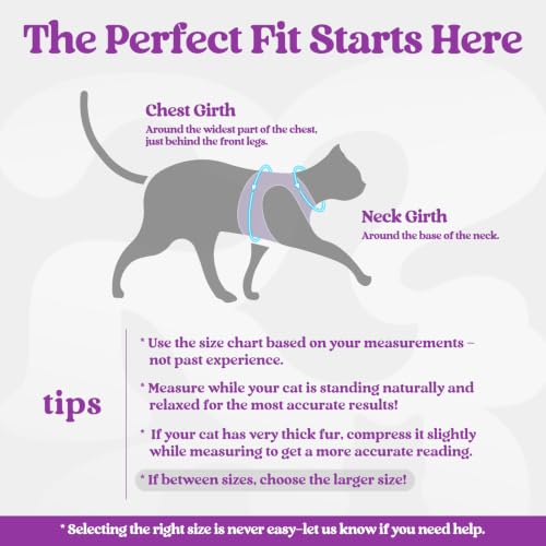 Cat Harness and Leash Set (XL / Purple-Light Purple)