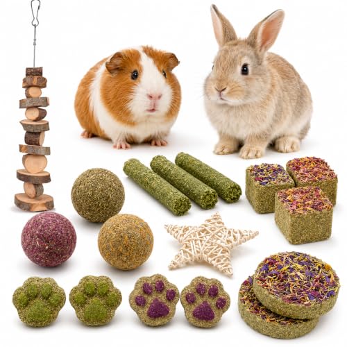Rabbit Toys Guinea Pig Toys 17Pcs Natural Timothy Hay Bunny Chews and Treats for Hamster Chinchilla Gerbil (17 Pcs)