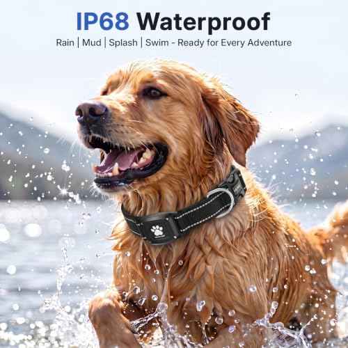 GPS Dog Collar with Tracker (Black / L(16.5''-23.5''))