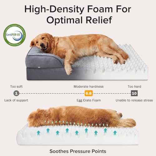 L Plus Orthopedic Dog Bed for Large Dogs (Dark Grey / L- PLUS (38"x 28"x 7"))