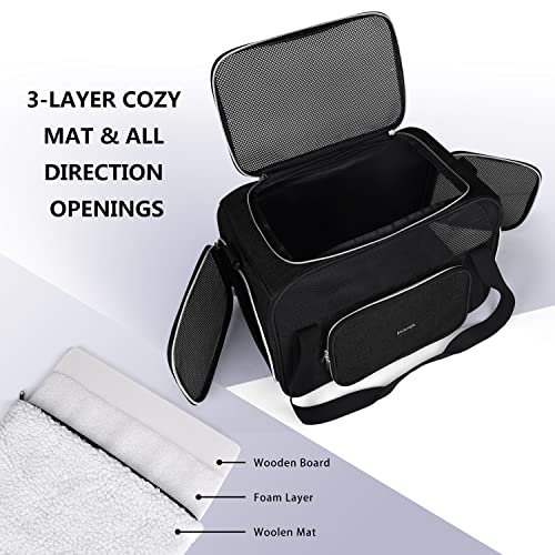 Pet Travel Carrier (Black)