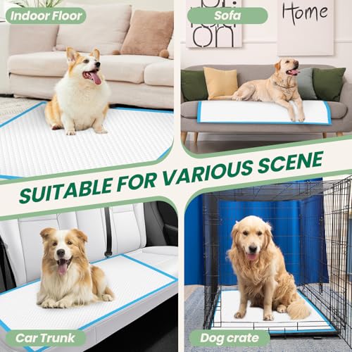 100 Count Large Dog & Cat Puppy Pee Pads (30" x 28" (100 Count))