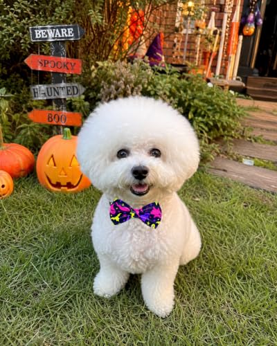5 Pack Halloween Dog Bowties for Small Dogs Slide on Collar (S/M)
