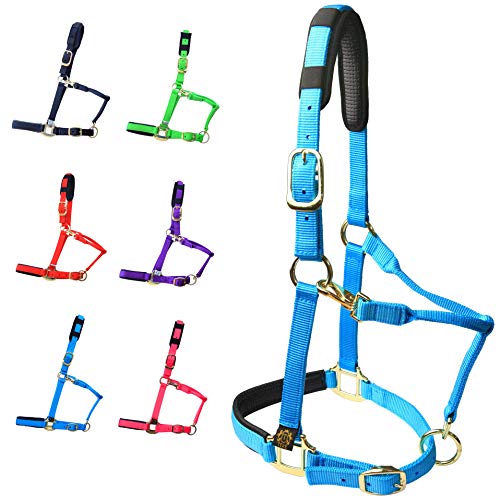 Adjustable Horse Halters by Heavy Duty Soft Nylon (Blue / XS Pony)