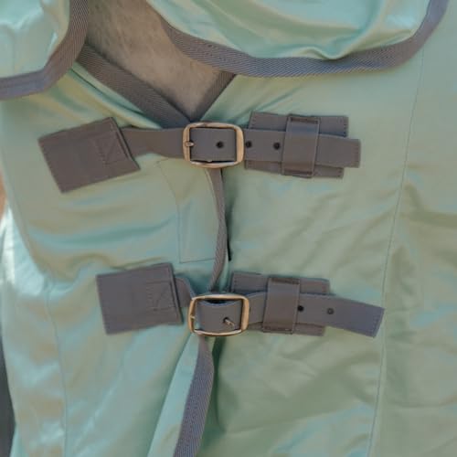 Horse Fly Sheet with Removable Neck Cover & Belly Wrap (Green / 75)