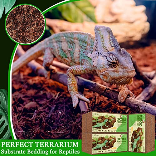 6 Pack Natural Coconut Fiber Substrate (6 Pack)