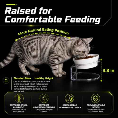 Raised Cat Bowl (White)