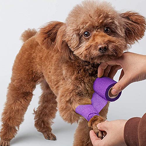 10 Rolls Self Adhesive Vet Wrap (2 Inch x 5 yards)