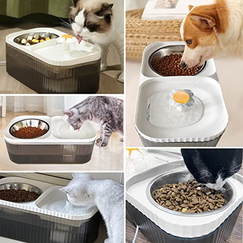 Cat Water Fountain Food Bowl Stainless Steel