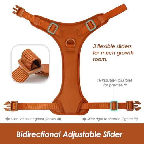 No Pull Dog Harness for Large Sized Dogs Puppy Vest No Choke (Carmel Brown / L(Neck:20.9-31.5", Chest:24.8-37.4"))