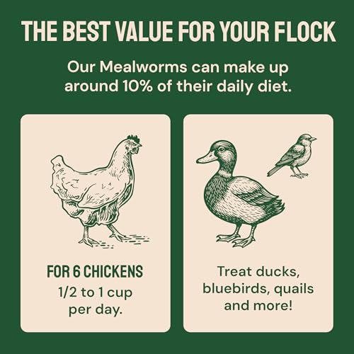 5lb Dried Mealworms for Chickens & Wild Birds (5 Pound (Pack of 1))