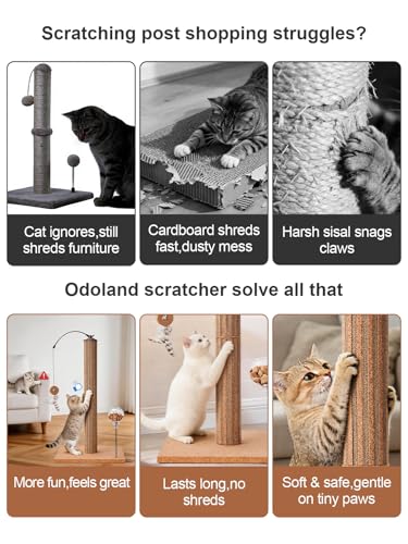 Cat Scratching Post with Snack Ball & Feather Toys for Kitten