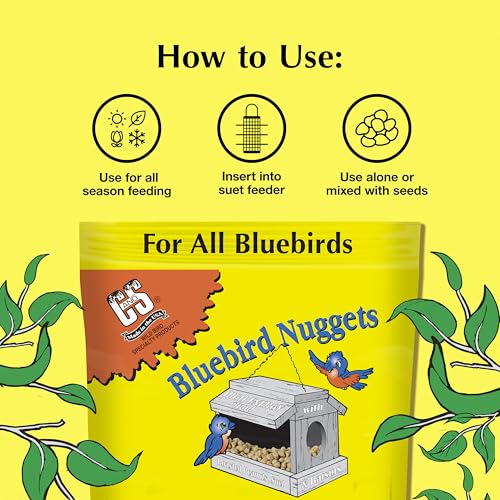 Berry Flavor Suet Nuggets (1.69 Pound (Pack of 1))