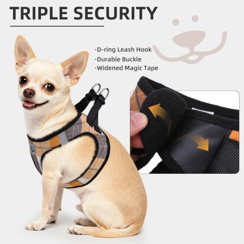 Dog Harness Collar and Leash Set No Pull for Small Medium Sized (Orange / XL (CHEST 20"-22"))
