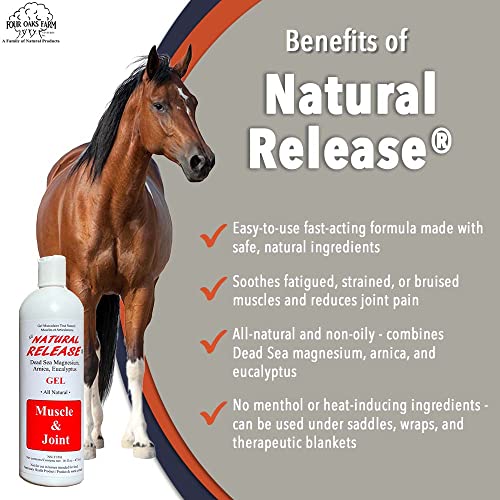 Natural Release Muscle Gel Treatment (16 Ounce (Pack of 1))