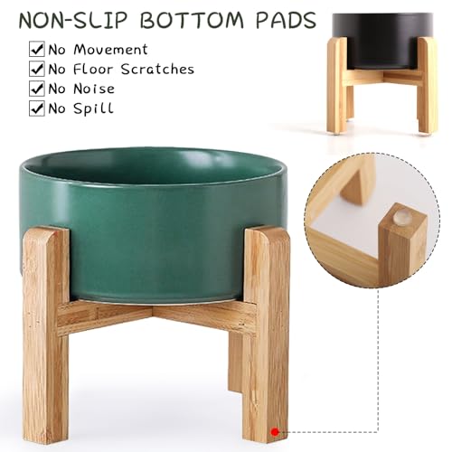 Green Elevated (Green / 1.7 Cups - Small)