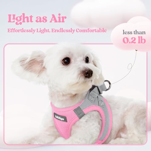 Dog Harness Small Sized and Leash Set (Light Pink & Gray / Xs (chest: 13.3 - 15.5"))