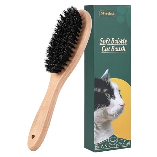 Boar Bristle Cat Brush with Wooden Handle (Wood)