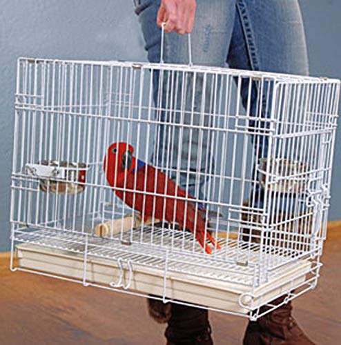 Large Portable Durable Metal Travel or Veterinary Easy Collapsable Parrot Bird Carrier Bite (White)