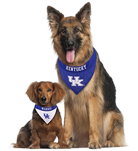 Collegiate Pet Accessories (Small/Medium / Kentucky Wildcats)
