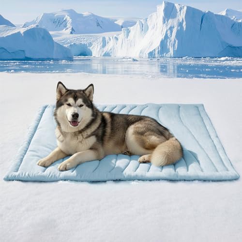 Cooling Mat for Large Dogs (Blue Rectangle / XL: 60" L x 40" W x 0.8" TH)