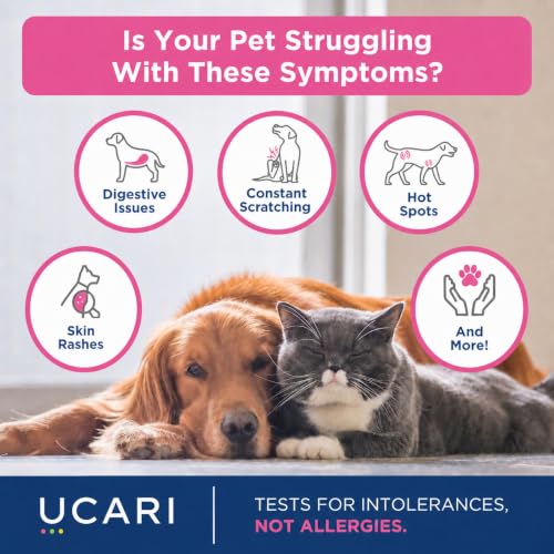 Pet Intolerances Insight Kit (Premium)