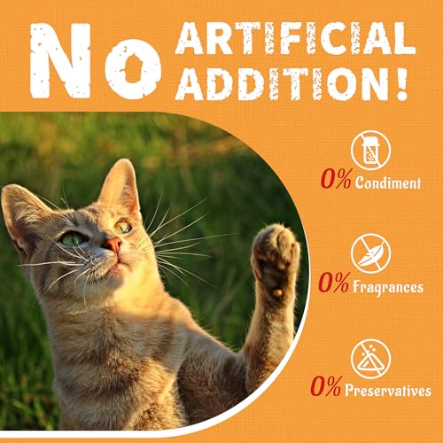 Cat Grass Treats with Cranberry & Pumpkin (2.25 Pound (Pack of 1))