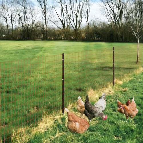 Red PVC Coated Welded Wire Fence 48" x 50' Roll (Red / 2''x4'' 14GA 48''x50')