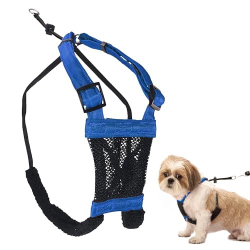No Pull Dog Harness (Small / Blue)