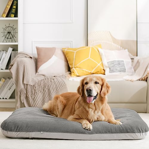 Orthopedic Large Dog Bed 39 Inch (39.0"L x 33.5"W x 4.0"Th / Grey)