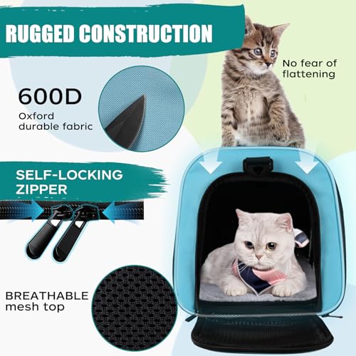 Dog Cat Carrier Pet Carriers for Small Medium Large Cats Dogs Carrier Soft Sided Small Puppy Dog Carrier Portable Foldable Airline Approved Dog Cat Travel Carrier Blue Medium (18.0"L x 11.5"W x 11.5"H / Blue)