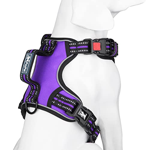 No Pull Dog Harness with 3 Leash Clips and Vertical Handle (Extra Large / Purple)
