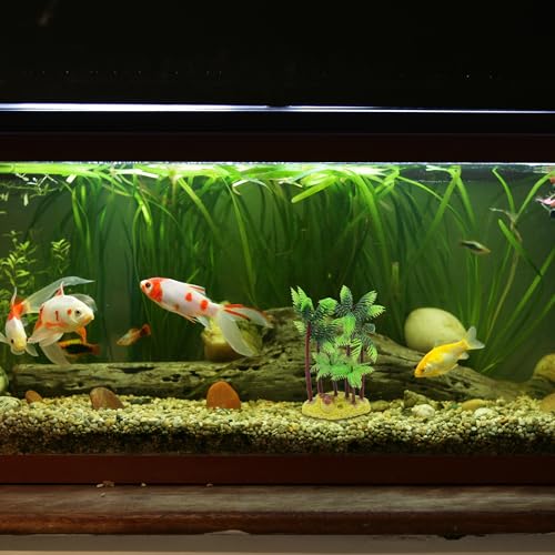 Aquarium Decoration