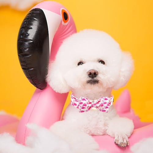 Dog Collar Pink Flamingos Dog Collar with Bow Girl (Flamingo / Medium (Pack of 1))