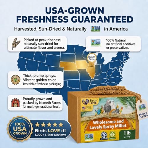 1 LB Wholesome Spray Millet for Birds (1 Pound (Pack of 1))