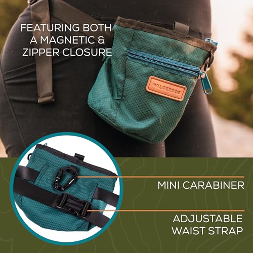Dog Training Treat Pouch with Magnetic and Zipper Closure (Green)