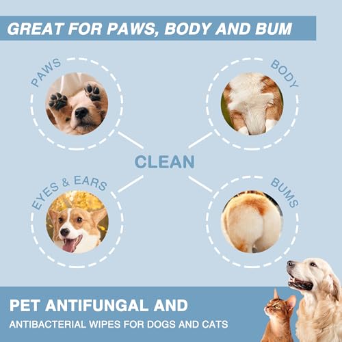 Antifungal and Antibacterial All Natural Wipes for Dogs & Cats