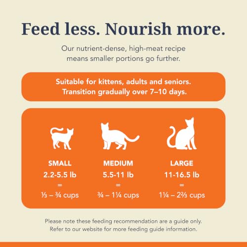 High Protein Freeze Dried Dry Cat Food with 98% Meat (11 Ounce (Pack of 1))