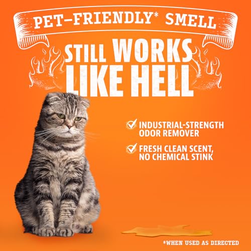 Pet Odor Eliminator Concentrate for Cat Urine and Smells (8 Fl Oz (Pack of 1))
