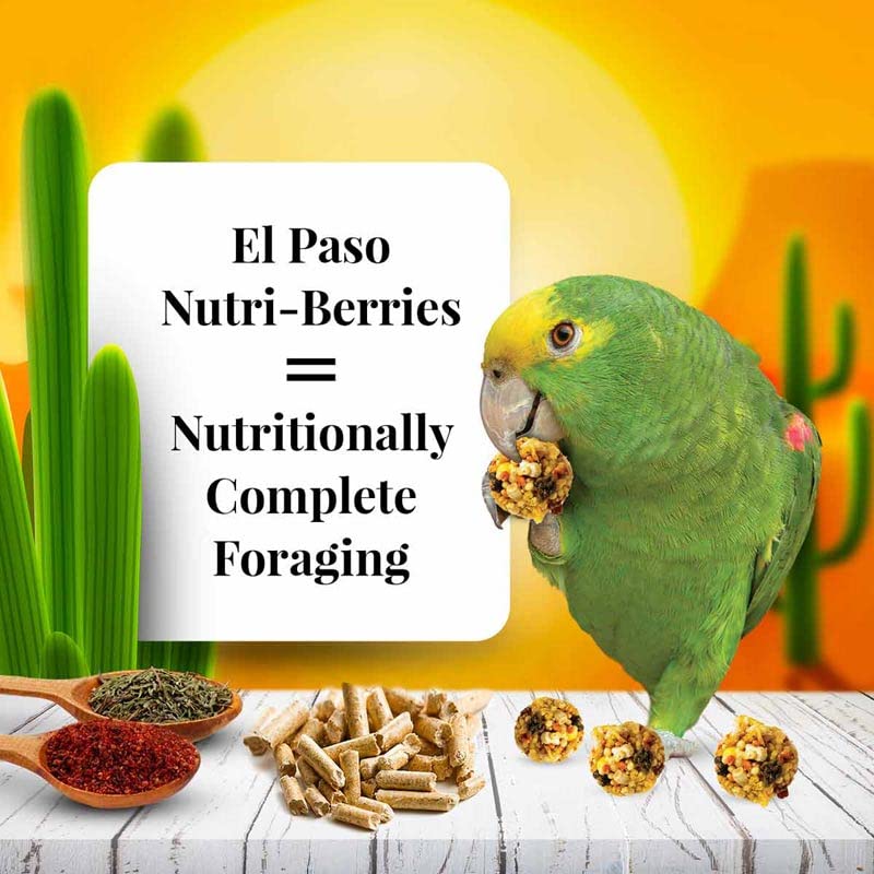 El Paso Nutri
