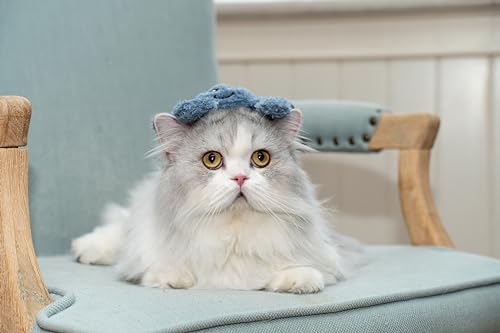 Interactive Catnip Cat Plush Toy (Crab)